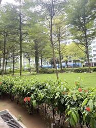 Blk 782B Woodlands Meadow (Woodlands), HDB 4 Rooms #559842091